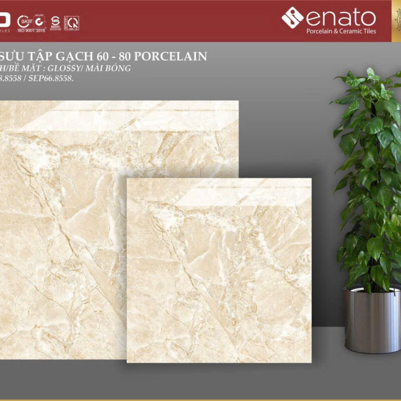 Gạch ốp lát Senato 80x80 - SEP88.8558 / SEP66.8558