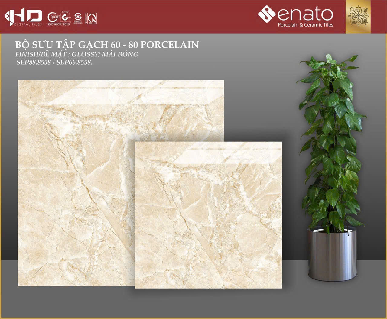 Gạch ốp lát Senato 80x80 - SEP88.8558 / SEP66.8558