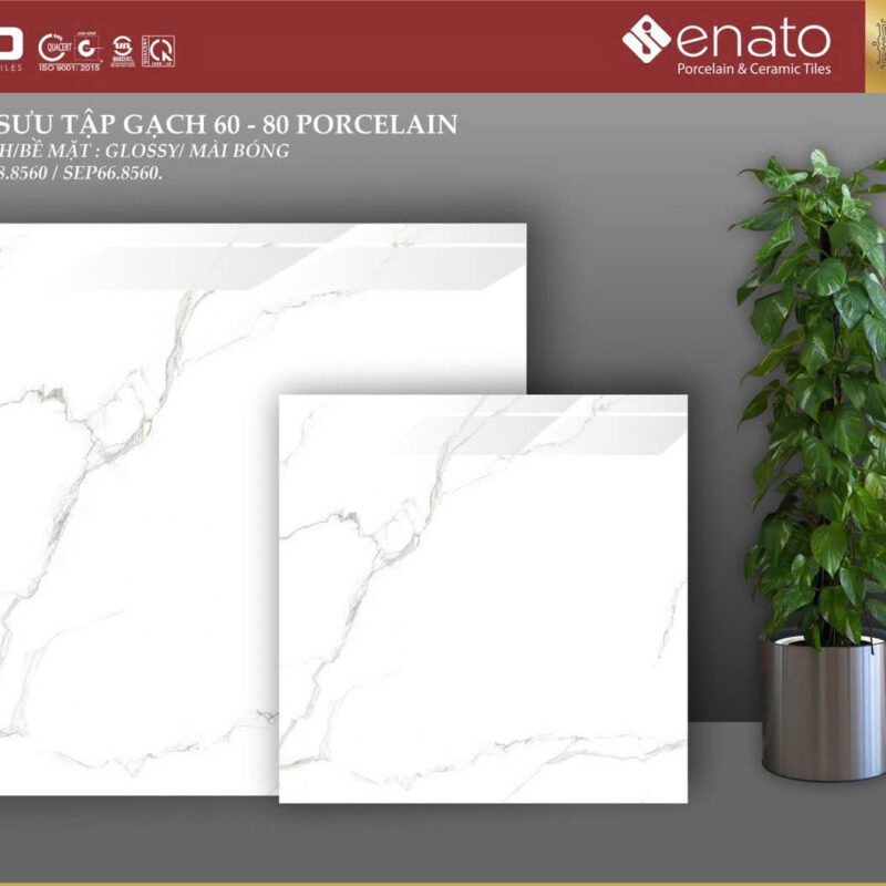 Gạch ốp lát Senato 80x80 - SEP88.8560 / SEP66.8560