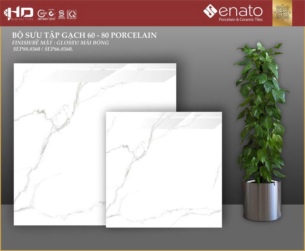 Gạch ốp lát Senato 80x80 - SEP88.8560 / SEP66.8560