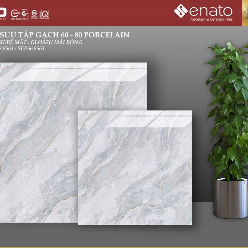Gạch ốp lát Senato 80x80 - SEP88.8563 / SEP66.8563 1