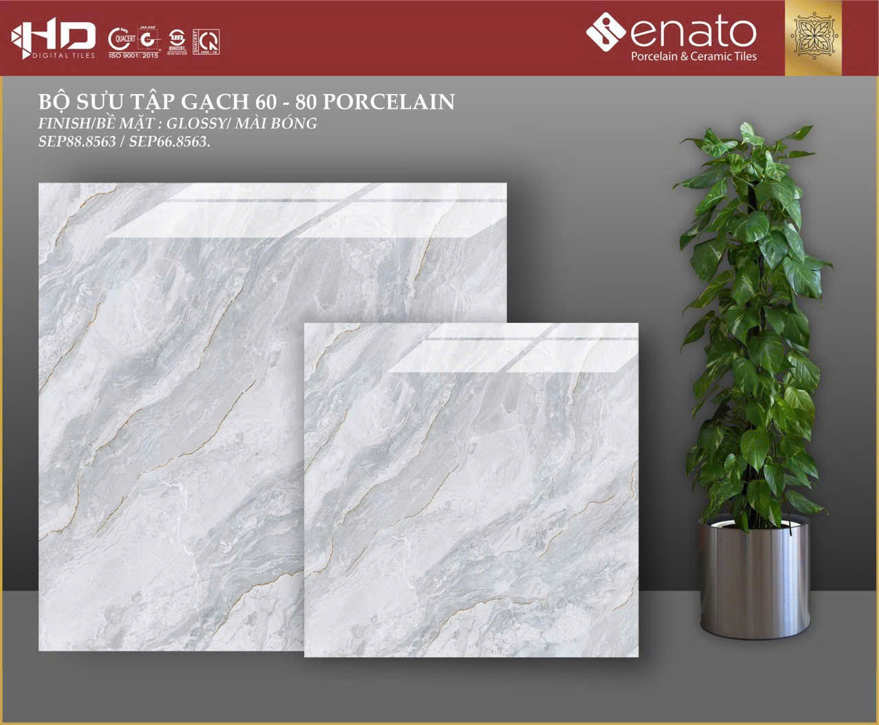 Gạch ốp lát Senato 80x80 - SEP88.8563 / SEP66.8563 1