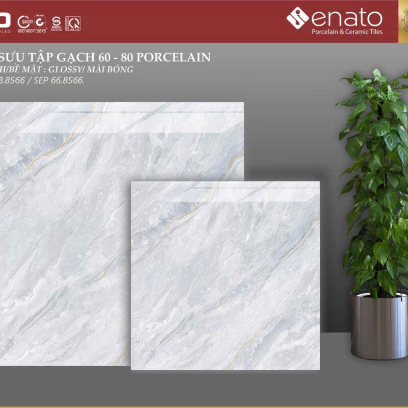 Gạch ốp lát Senato 80x80 - SEP88.8566 / SEP66.8566