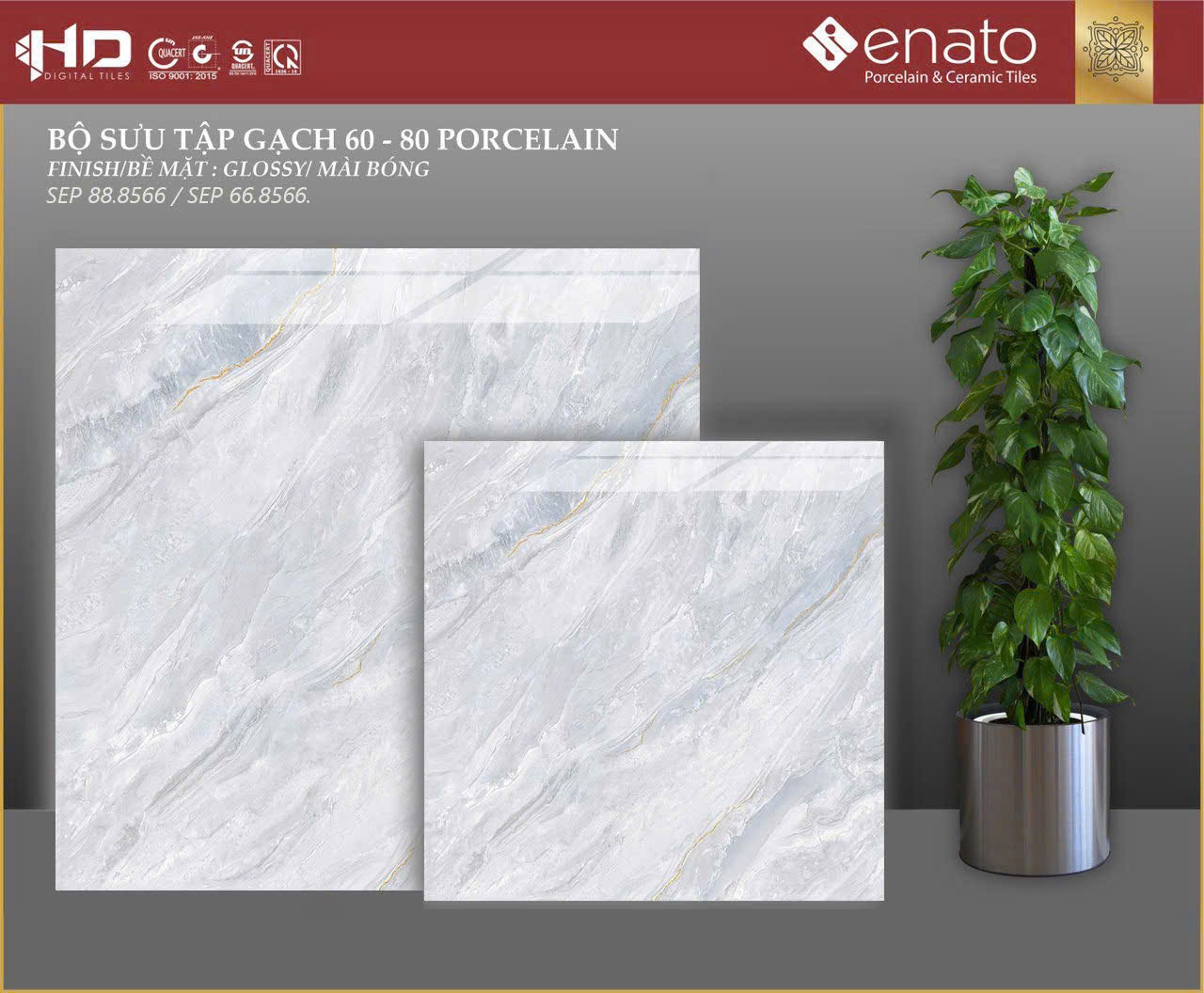 Gạch ốp lát Senato 80x80 - SEP88.8566 / SEP66.8566