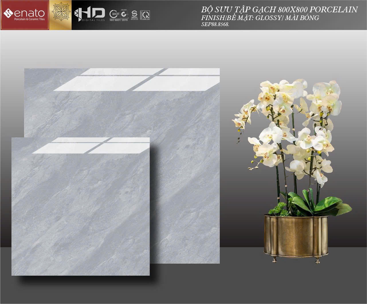 Gạch ốp lát Senato 80x80 - SEP88.8568
