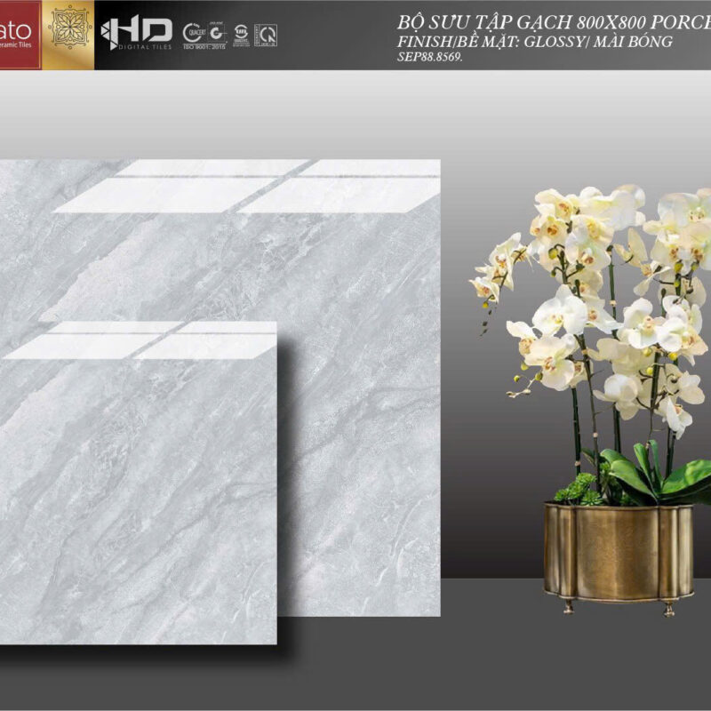Gạch ốp lát Senato 80x80 - SEP88.8569