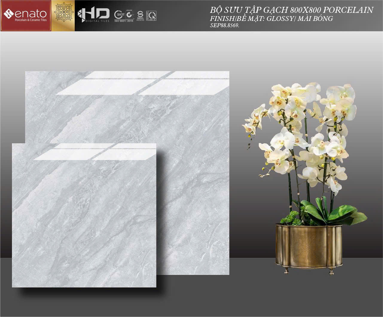 Gạch ốp lát Senato 80x80 - SEP88.8569