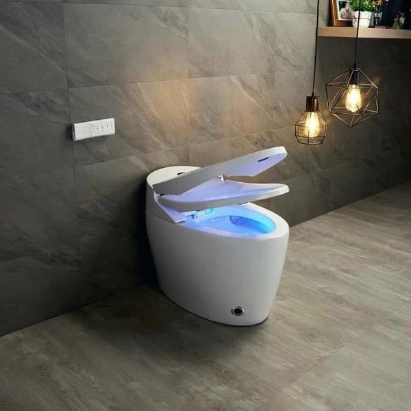 Địa chỉ uy tín để mua bồn cầu thông minh chất lượng cao