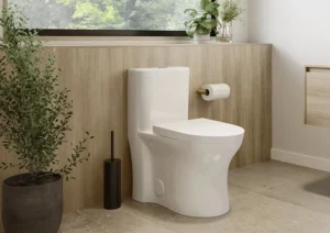 Khám phá địa chỉ mua bồn càu tại Ninh Bình chính hãng, giá tốt nhất