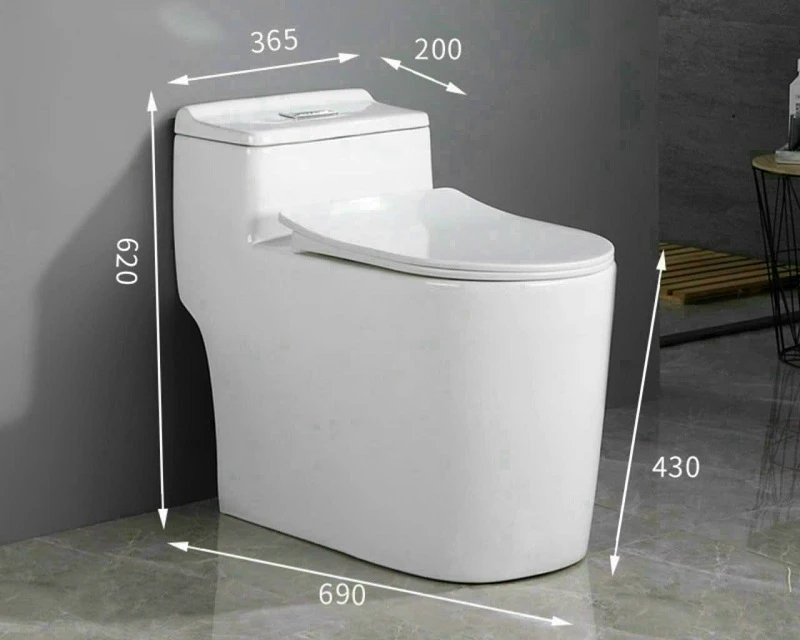 Tìm hiểu các ưu điểm và nhược điểm của bồn cầu 1 khối